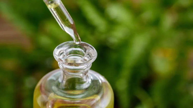 How Do Essential Oil Diffusers Work In Colorado – Terry’s Natural Market