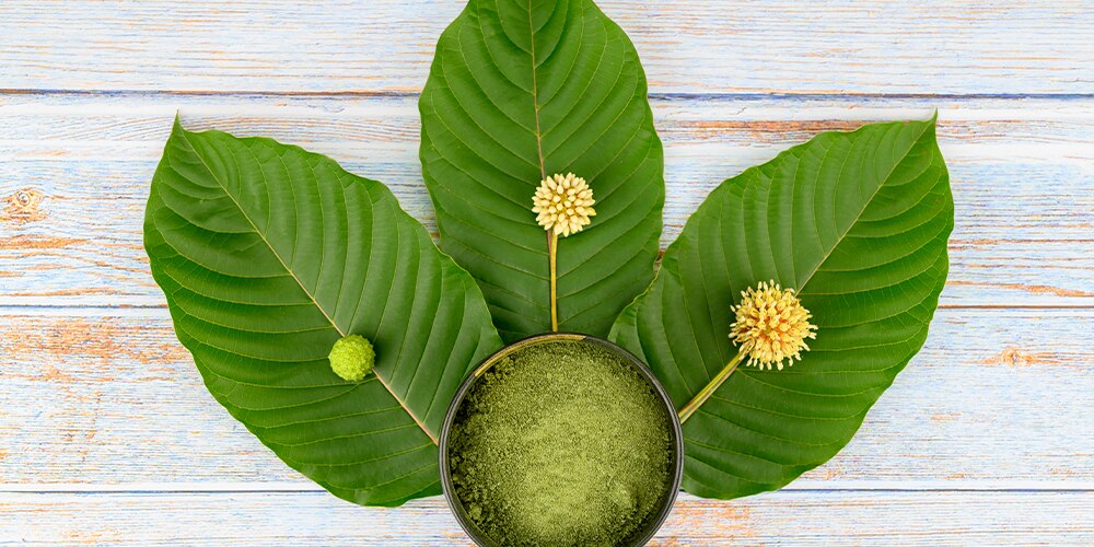 Overview Of Levo 2 in Colorado – Terry’s Natural Market